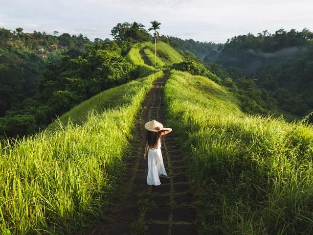 Indonesia ubud campo de arros